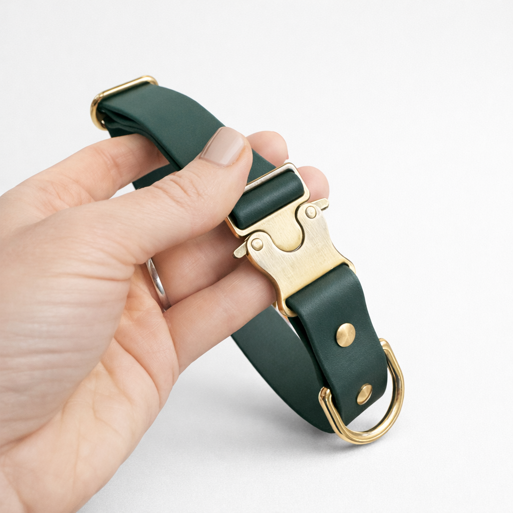 The signature collar - Forest Green