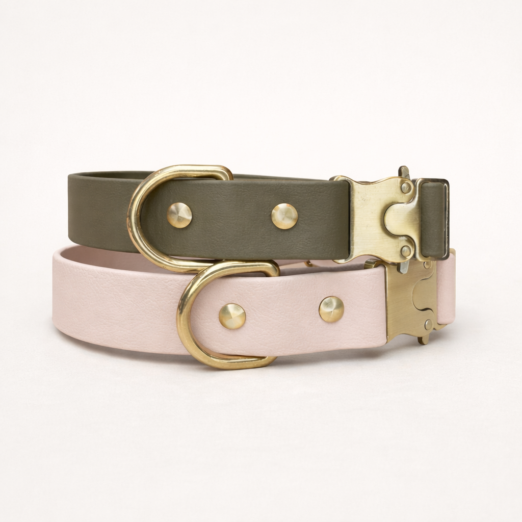 Signature Brass Collar + Lead Set
