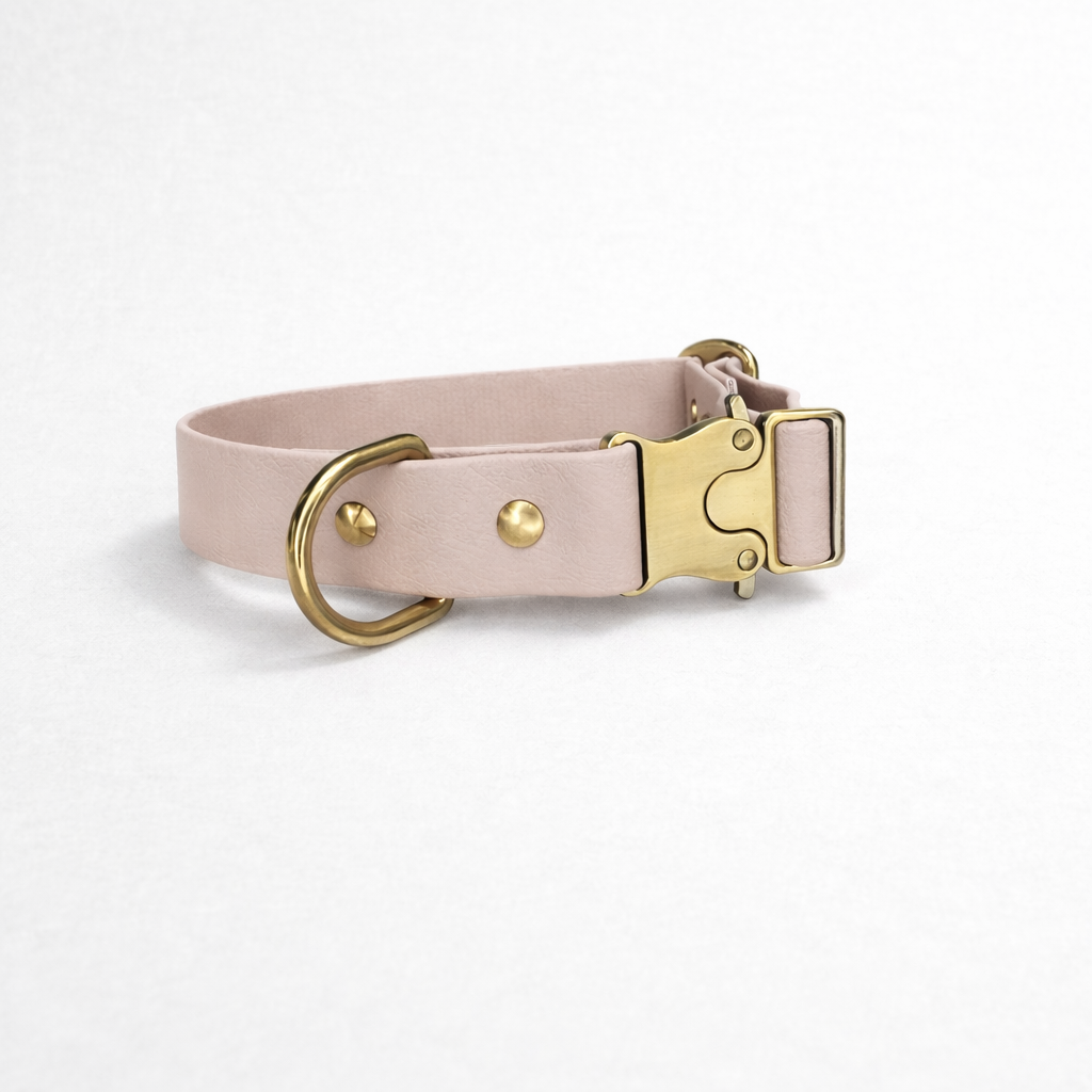 Signature Brass Collar