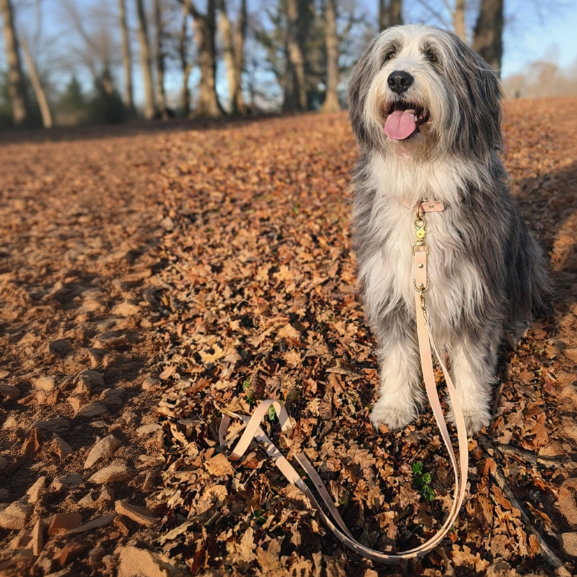 The Adjustable Multi-Way Dog Lead - Blush Stone