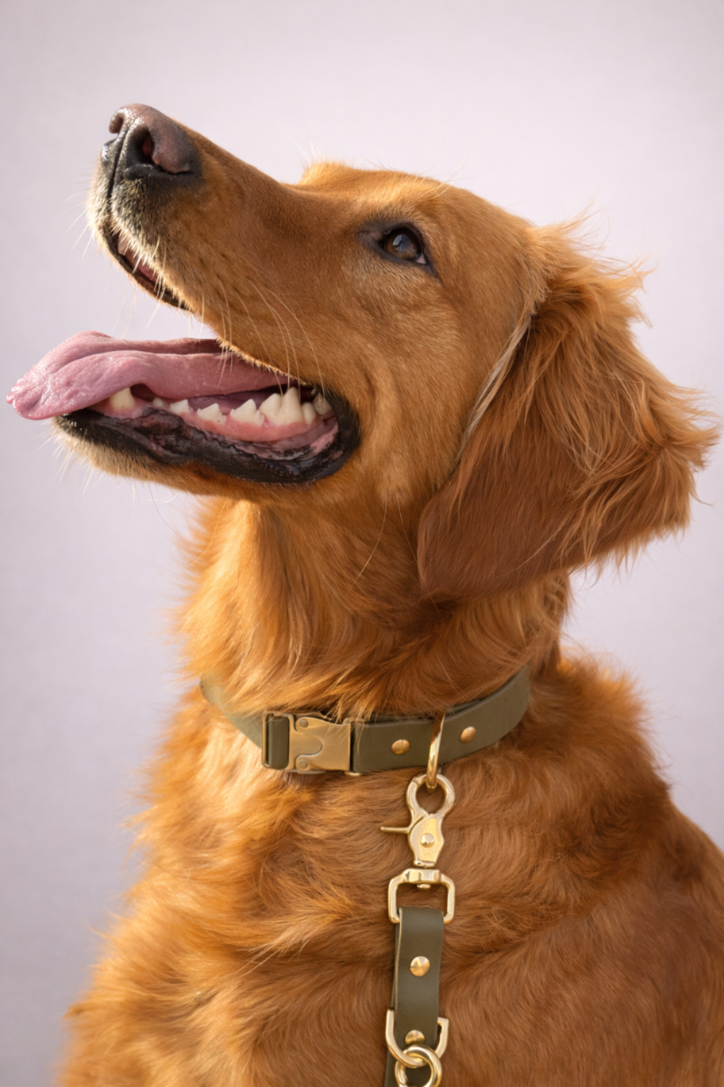 The Adjustable Multi-Way Dog Lead - Lichen Green